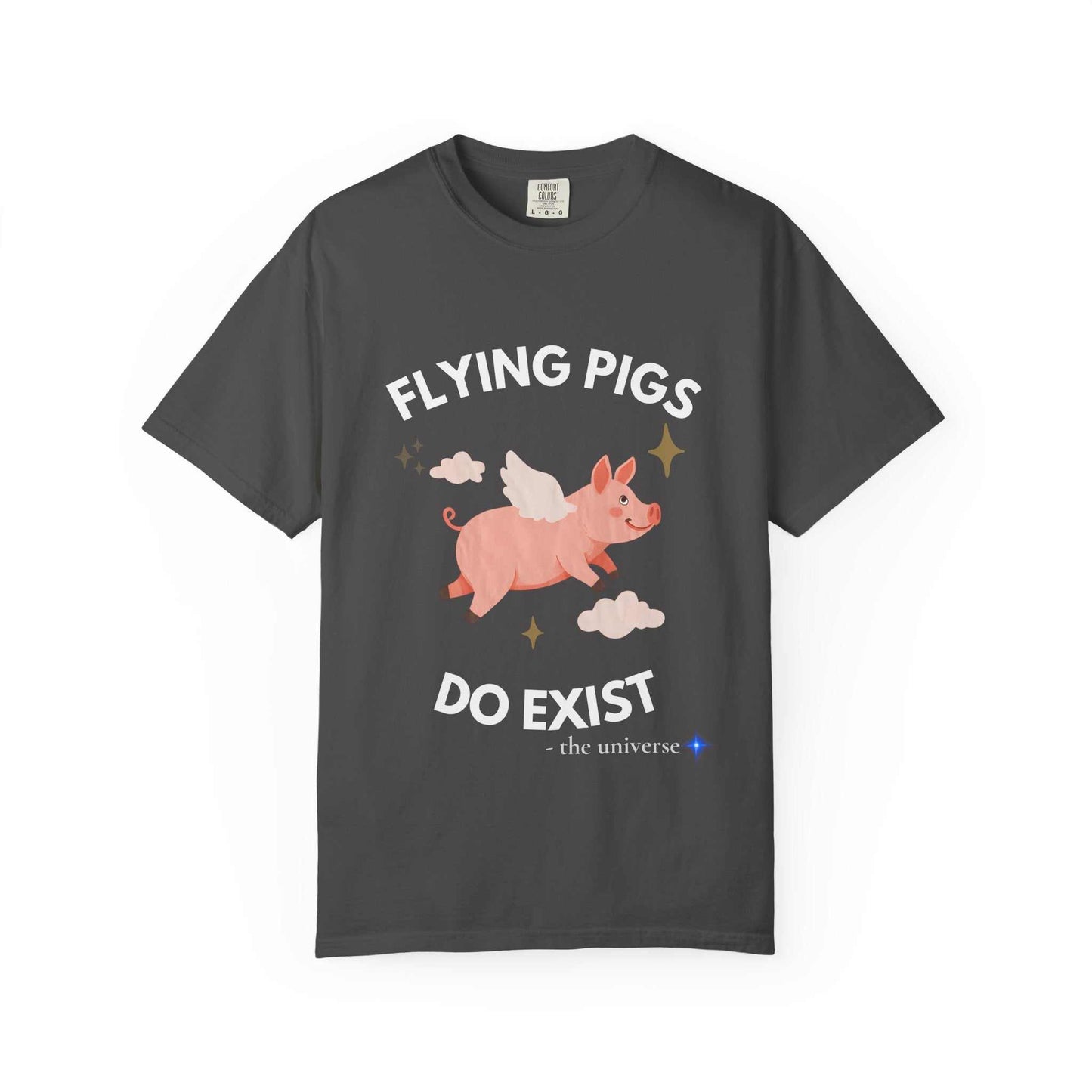 A dark gray t-shirt with a graphic of a flying pig and the text "Flying Pigs Do Exist".
