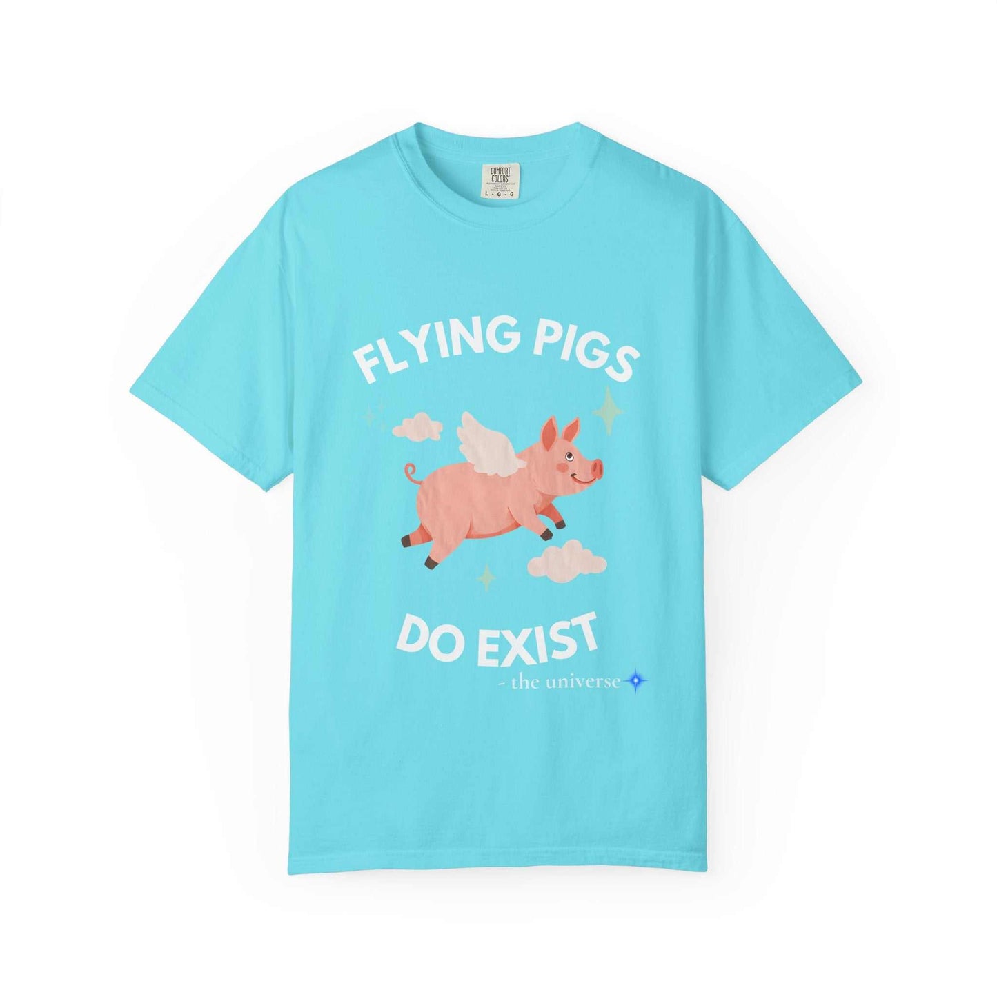 A light blue t-shirt with a graphic of a flying pig and the text "Flying Pigs Do Exist".