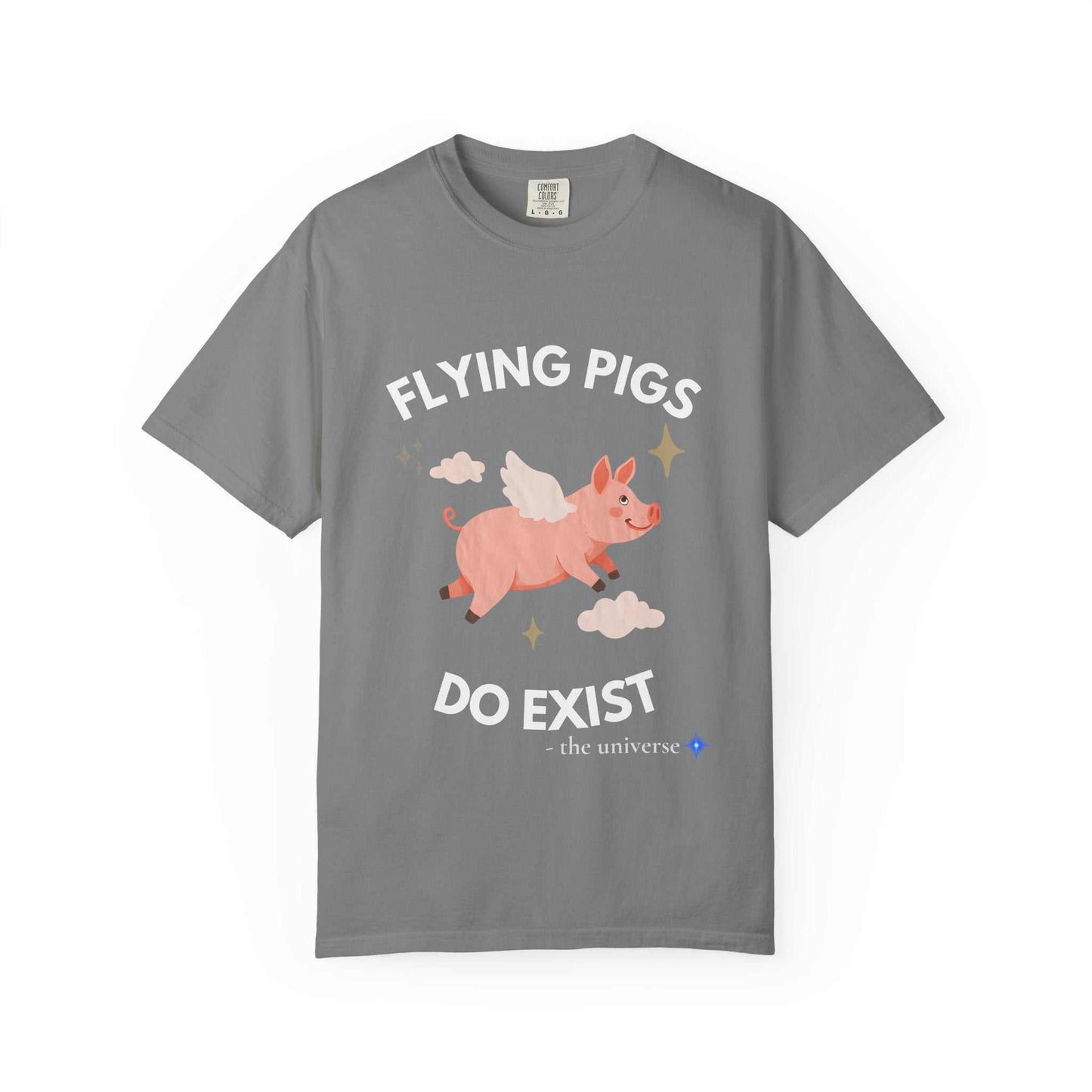 A grey t-shirt with a graphic of a flying pig and the text "Flying Pigs Do Exist".