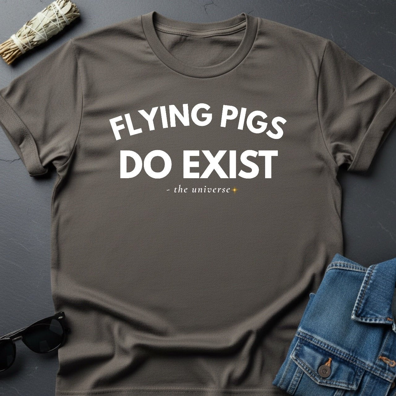 Flying Pigs Do Exist - Sarcastic Minimalist T-Shirt | Youniverses - Youniverses